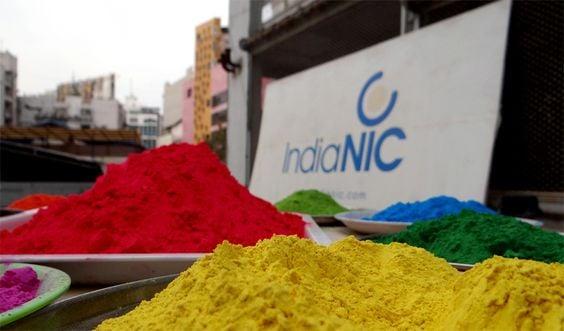 IndiaNIC Celebrated Festival of Colors