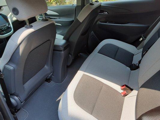 Interior seat stain removal