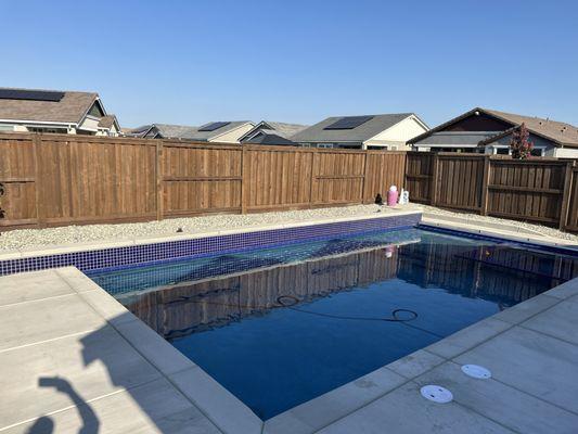 Dolphin Pools and Spas