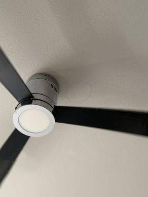 Random water damage?