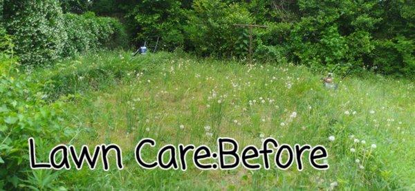 Super Kutz Lawn Care