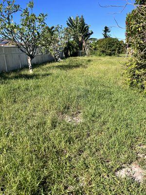 American Cutters Landscaping