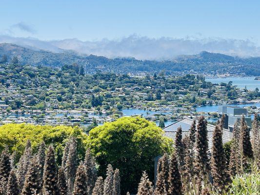 Old St. Hilary's Open Space Nature Preserve