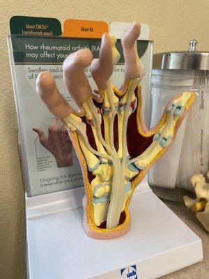 Arthritis Consultants