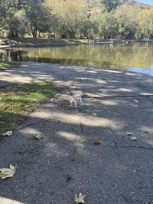 Taking a stroll back to the car