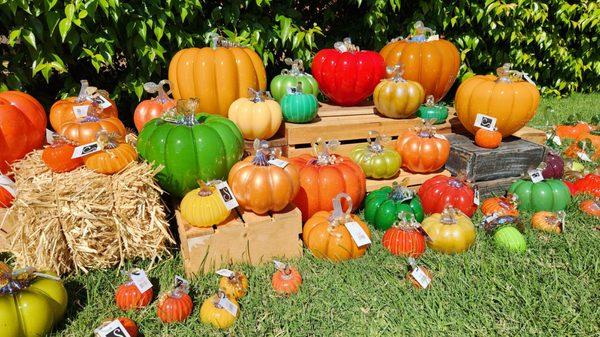 Great Glass Pumpkin Patch
