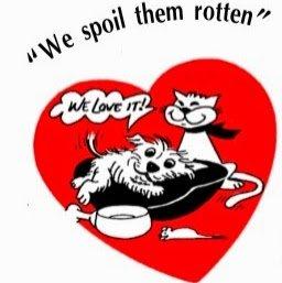 Vacation Station Pet Resort