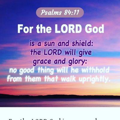 Isabella's Gentle Hands Cat Bathing And Brushing