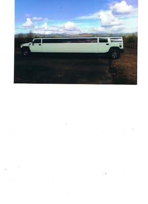 Bay Limousine