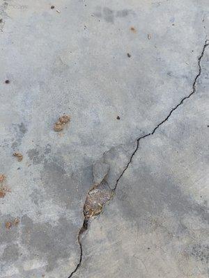 Top layer seems to be breaking away. This would be the middle of my living room.