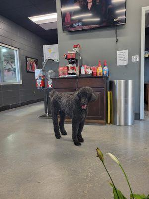 Anthony's Full Service & Express Car Wash