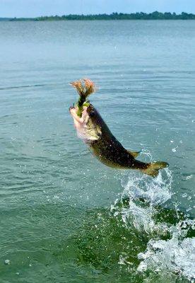 Pete Dodge's Guide Service