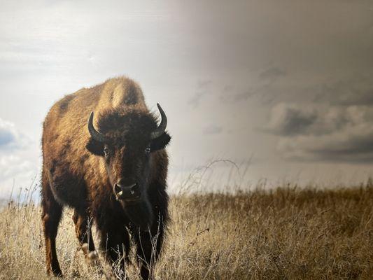 The Law Office of Debra D Corcoran