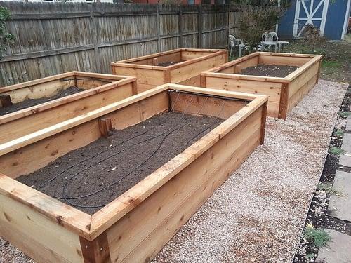 Colorado Ecoscapes and Urban Gardens