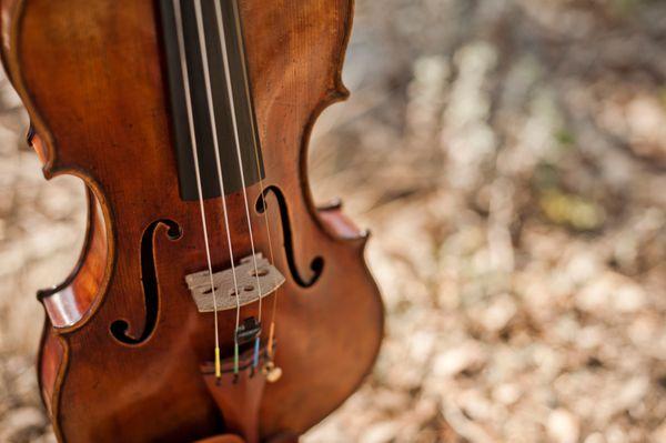 Alexandra Wenig Violin Studio