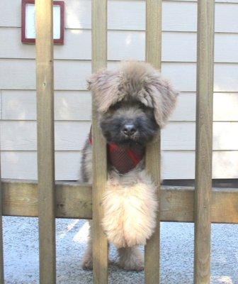 Osborne Veterinary Clinic