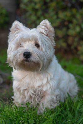 Amy Kushner Photography