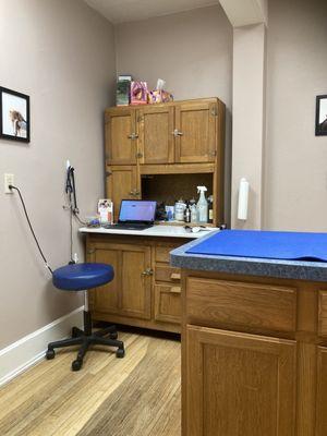 If you zoom in, you can see white hair on examining table.