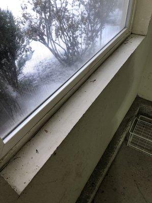 Elwood's Window Cleaning