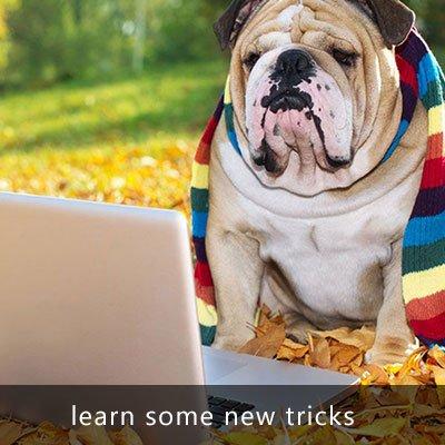 Learn some new tricks.