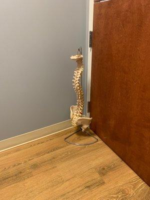 Vital Life Chiropractic