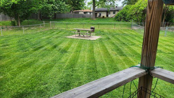 Bad Boyz Lawn Maintenance