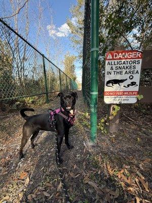 Canoe and Kayak Launch