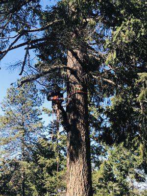 Cornerstone Construction & Tree Service