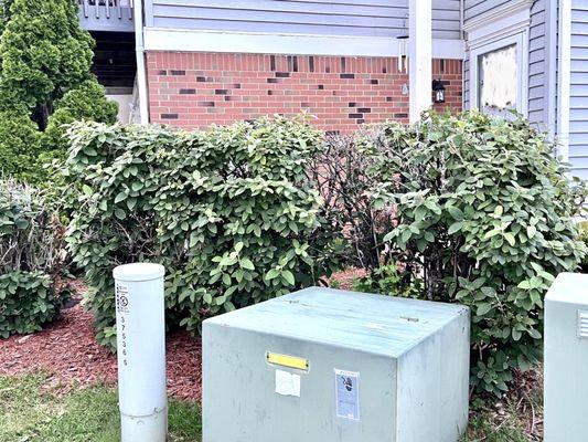 Motor City LawnCare & Snow Removal