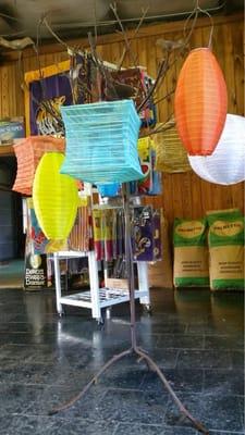 Outdoor Living Landscape & Nursery