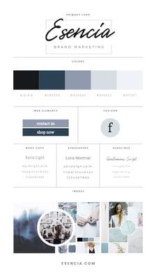 Brand Development Marketing