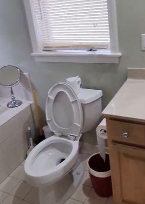 Holistic Cleaning Corp