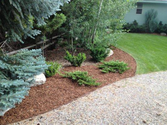 TLC Total Lawn Care