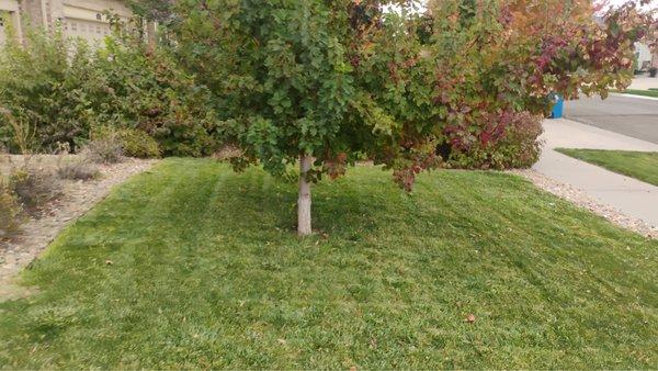 M&E Lawn Service