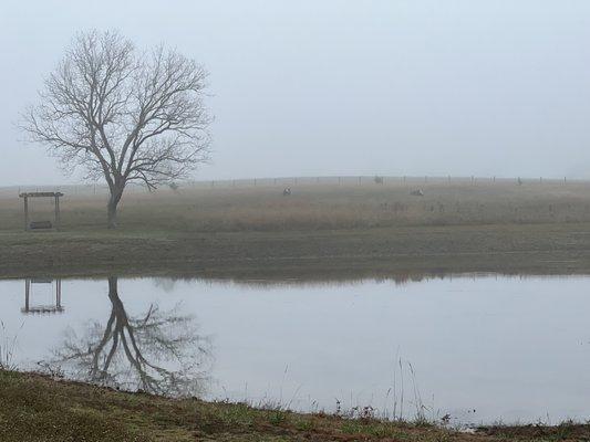 Foggy morning reflection at the retreat center