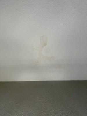 This is the current leak in the bathroom that has grown over the past 15 months