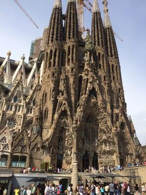 Vacations By Carole - Cruises