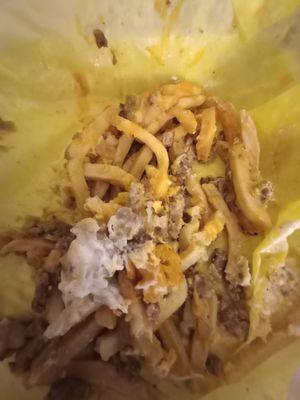 look at all that melted cheese and beef. even the green sauce didn't help it