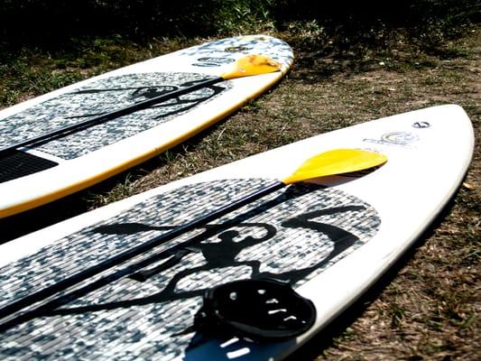 Daydream Destinations