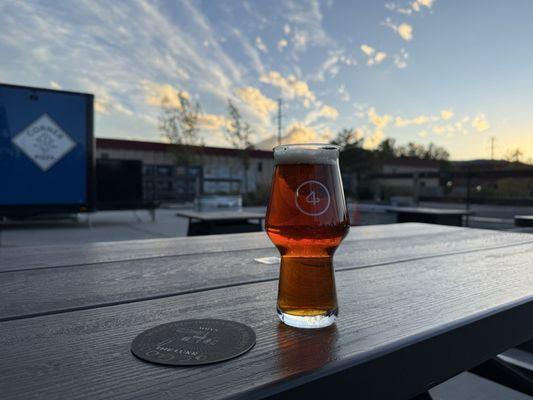 Wild Provisions Beer Project