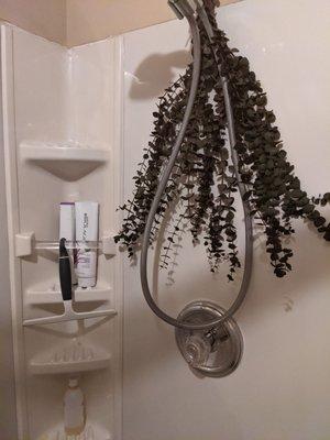 TAO Wellness Med Spa