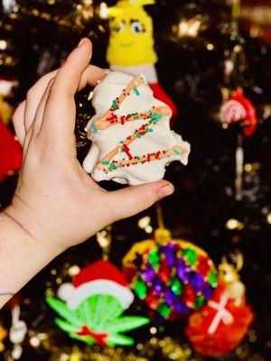 The Indignant Platypus