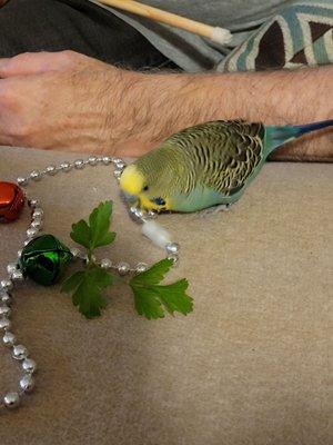 Full Circle Veterinary Hospital