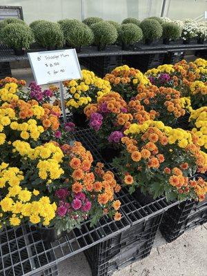 Millstadt Greenhouse