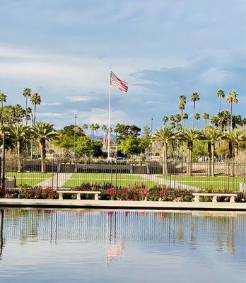 View from the steps on the side of the Temple. 2/21/24