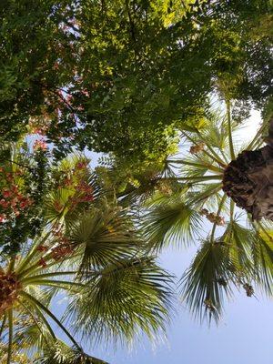 East Los Angeles County Hall