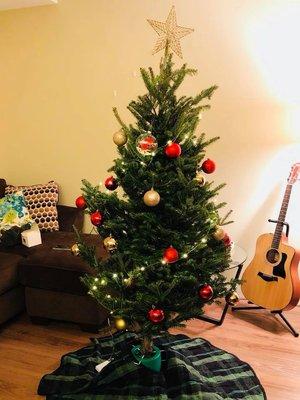 A happy client's 5' tree.