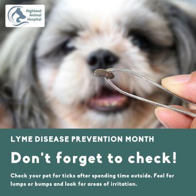 Bayside Animal Hospital