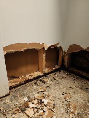 JD's Odd Jobs & Landscaping