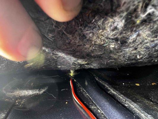 audio wire bolted under engine plate